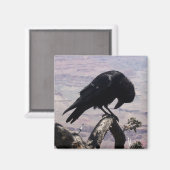 Sad Raven Magnet 01 (Voorkant / Achterkant)