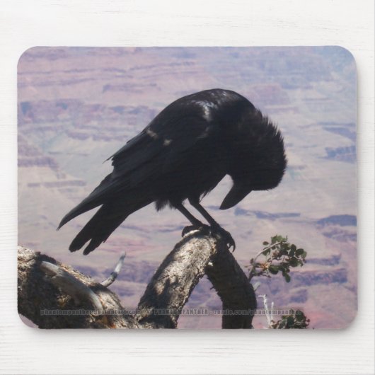 Sad Raven Mousepad Muismat (Voorkant)