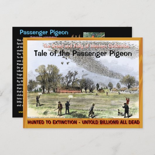 Sad Sad Tale van de Passenger Pigeon —~ Briefkaart (Voorkant / Achterkant)