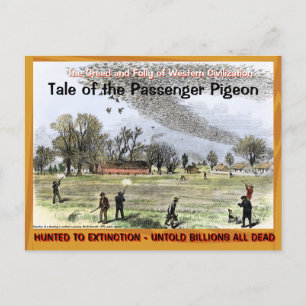 Sad Sad Tale van de Passenger Pigeon —~ Briefkaart