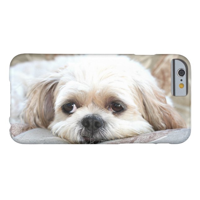 Sad Shih Tzu Case-Mate iPhone Case (Achterkant Horizontaal)