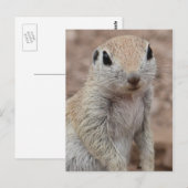 Sad Squirrel Briefkaart (Voorkant / Achterkant)