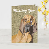Sad Tearful Bloodhound "Missing You" Kaart (Gele Bloem)