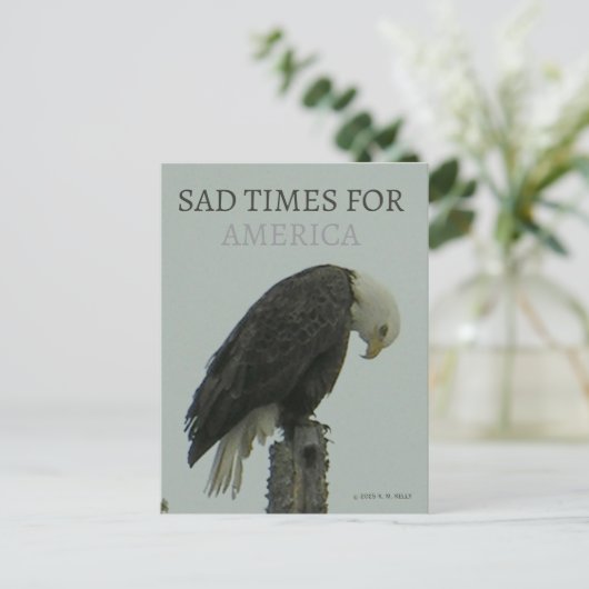 SAD TIMES FOR AMERICA - By - K. M. Kelly -  Briefkaart (Staand voorkant)