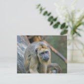 Sad zien Howler Monkey Briefkaart (Staand voorkant)