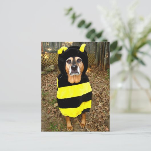 Saddest Bee Postcard Briefkaart (Staand voorkant)