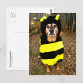 Saddest Bee Postcard Briefkaart (Voorkant / Achterkant)