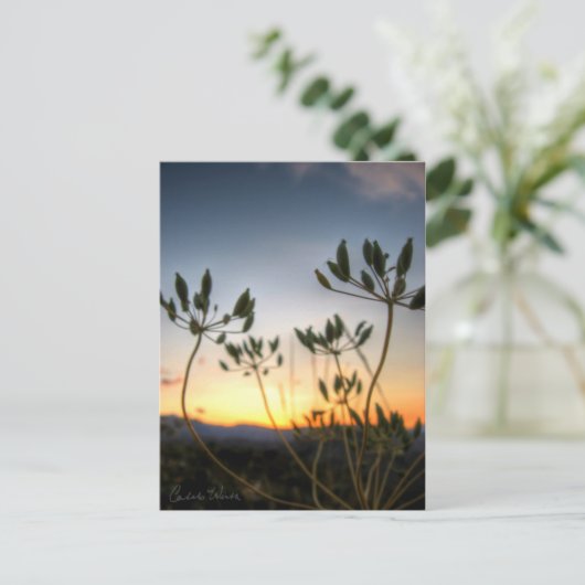 Saddle Rock Sunset Briefkaart (Staand voorkant)