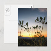 Saddle Rock Sunset Briefkaart (Voorkant / Achterkant)