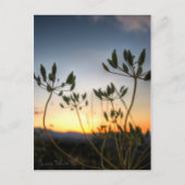 Saddle Rock Sunset Briefkaart (Voorkant)