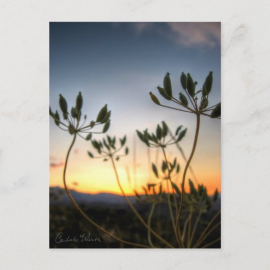 Saddle Rock Sunset Briefkaart (Voorkant)