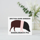Saddleback Pig Briefkaart (Staand voorkant)
