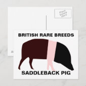 Saddleback Pig Briefkaart (Voorkant / Achterkant)