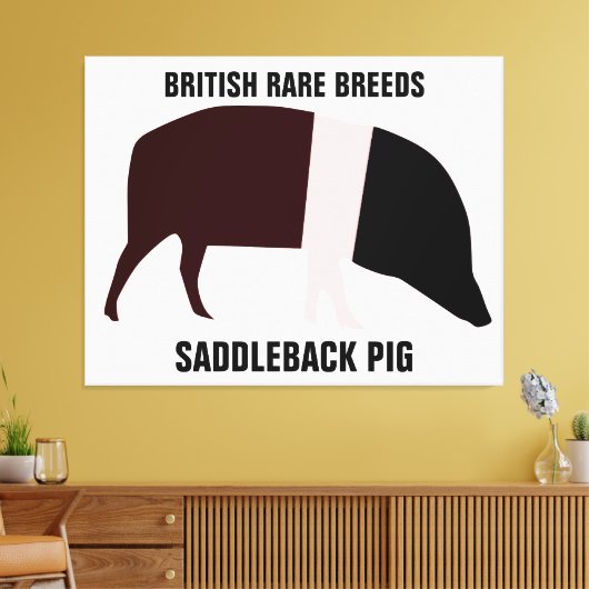 Saddleback Pig Canvas Afdrukken (Insitu (Woonkamer))