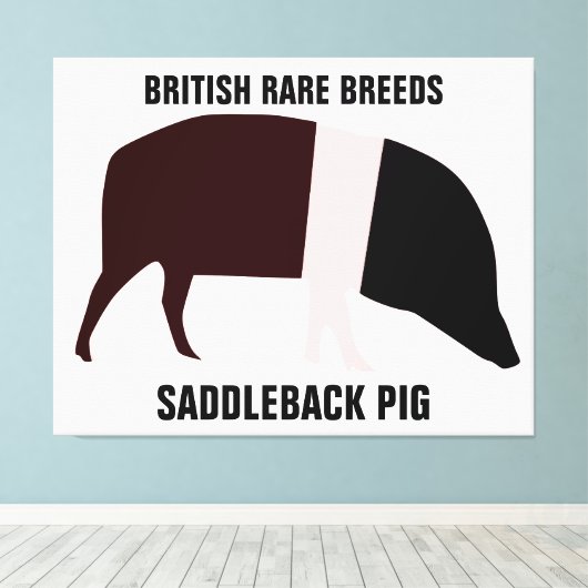 Saddleback Pig Canvas Afdrukken (Insitu (Houten vloer))