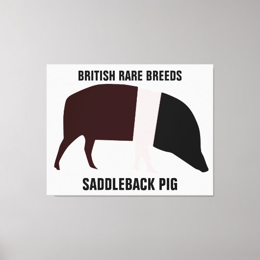 Saddleback Pig Canvas Afdrukken (Voorkant)