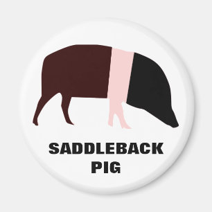 Saddleback Pig Magnet