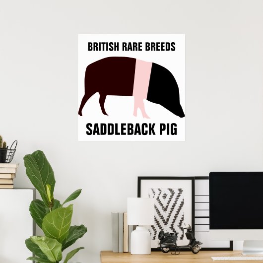 Saddleback Pig Poster (Thuiskantoor)
