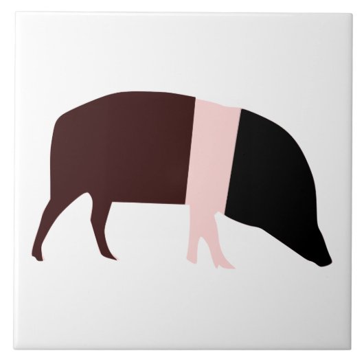 Saddleback Pig Tile Tegeltje (Voorkant)