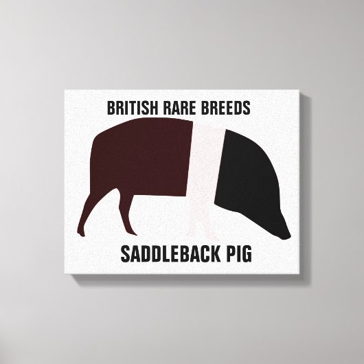 Saddleback-varkenscanvasprint Canvas Afdruk (Voorkant)