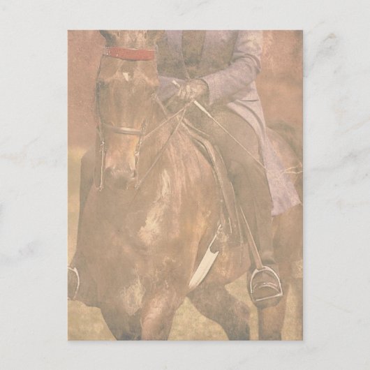 Saddlebred Dreams Briefkaart (Voorkant)