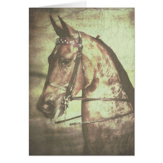 Saddlebred Horse (Voorkant)