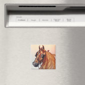Saddlebred Horse Magnet (Insitu (Vaatwasser))