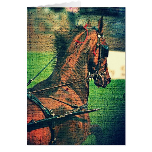 Saddlebred in Harness (Voorkant)