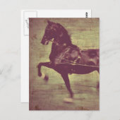 Saddlebred Song Briefkaart (Voorkant / Achterkant)