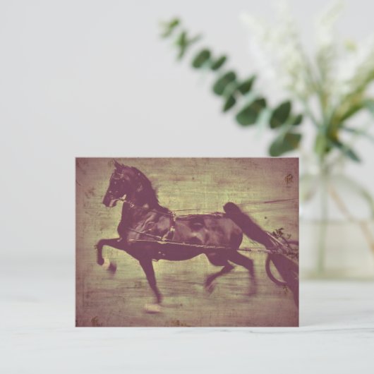 Saddlebred Song Briefkaart (Staand voorkant)