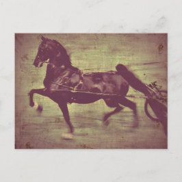 Saddlebred Song Briefkaart