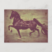 Saddlebred Song Briefkaart (Voorkant)