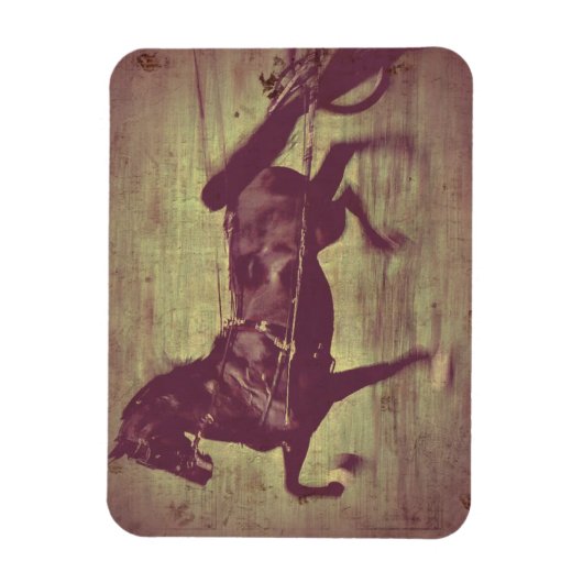 Saddlebred Song Magneet (Verticaal)