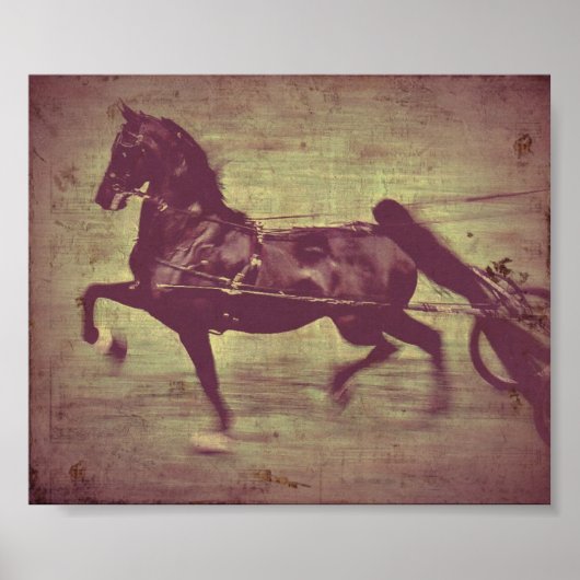 Saddlebred Song Poster (Voorkant)