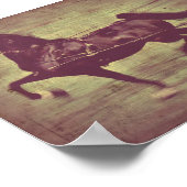 Saddlebred Song Poster (Hoek)