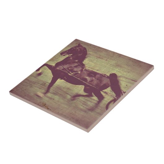 Saddlebred Song Tegeltje (Zijkant)
