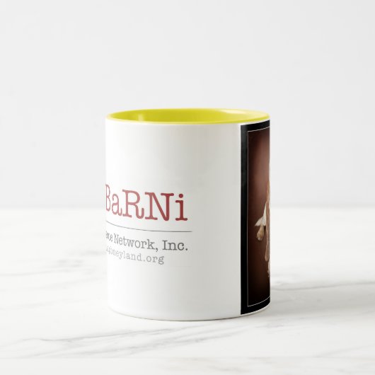 Sadie Coffee-Mok Tweekleurige Koffiemok (Center)