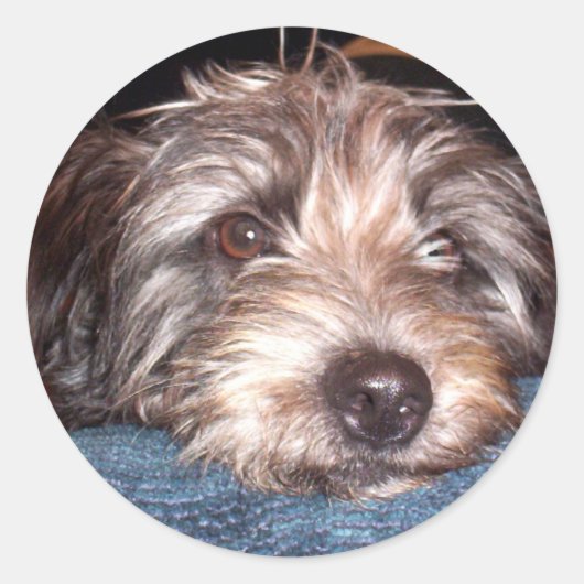 Sadie Ronde Sticker (Voorkant)