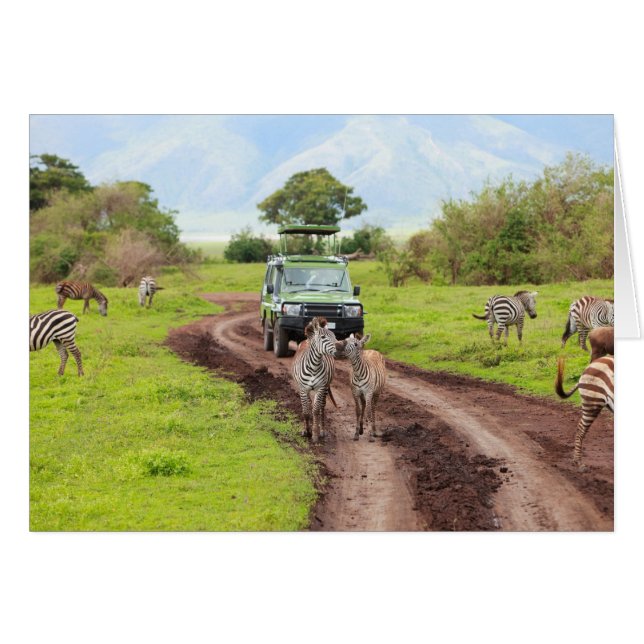 Safari (Voorkant Horizontaal)