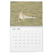 Safari 1 kalender (Mar 2026)