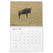 Safari 1 kalender (Feb 2027)