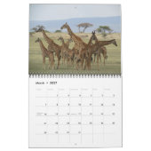 safari 2015 kalender (Mar 2027)