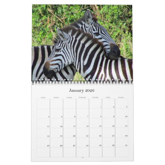 safari 2025 kalender (Jan 2026)