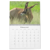 safari 2026  kalender (Feb 2027)