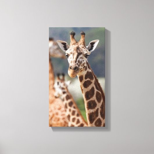 Safari Africa Giraffe Canvas Afdruk (Voorkant)