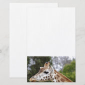 Safari Africa Mod Chic Classy Destiny Giraffe Briefpapier (Voorkant / Achterkant)