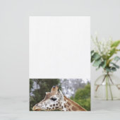 Safari Africa Mod Chic Classy Destiny Giraffe Briefpapier (Staand voorkant)