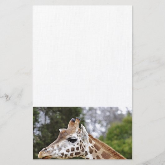 Safari Africa Mod Chic Classy Destiny Giraffe Briefpapier (Voorkant)