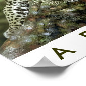 Safari Africa Poster (Hoek)