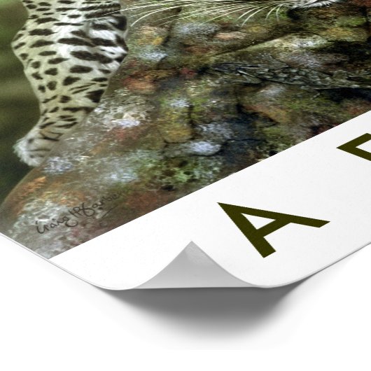 Safari Africa Poster (Hoek)